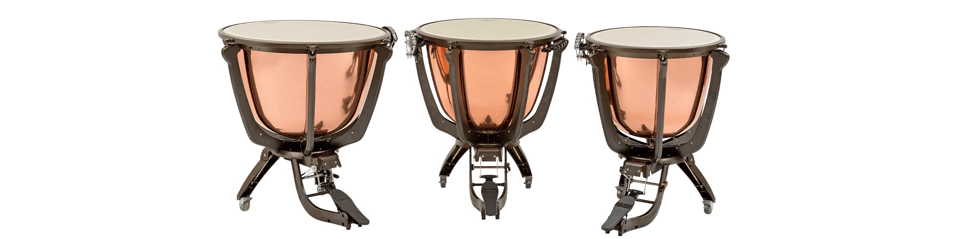 Prophonic Polished_MAJESTIC_Pauken-Teaser_1920x480Px_MJPR2300A